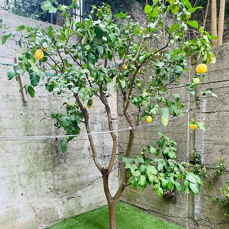 Lemon Tree Resort - Freeparking - Garden Genova Esterno foto